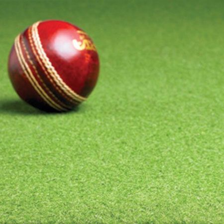 cricket mats