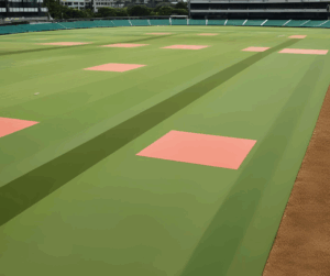 cricket mats